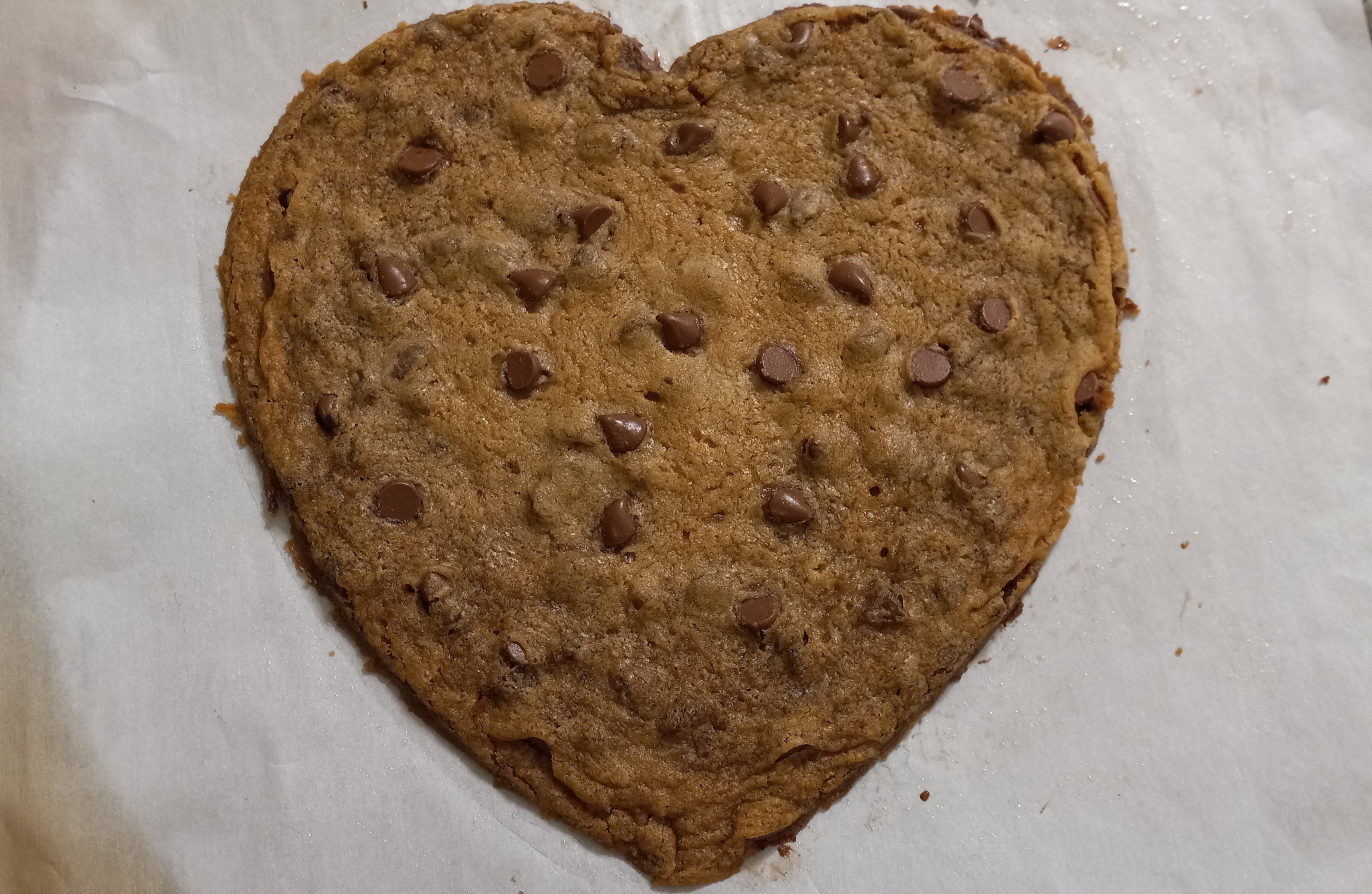 homebaked chocolate chip cookie